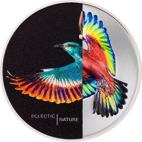 Roller eclectic nature - roller, bird