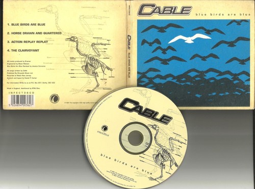 Cable blue birds are 3 - cable,