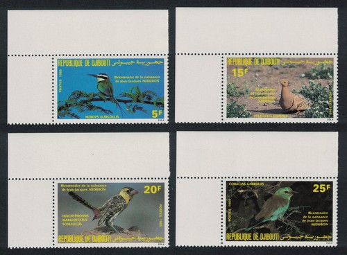 Rullo barbet mangia - rullo,